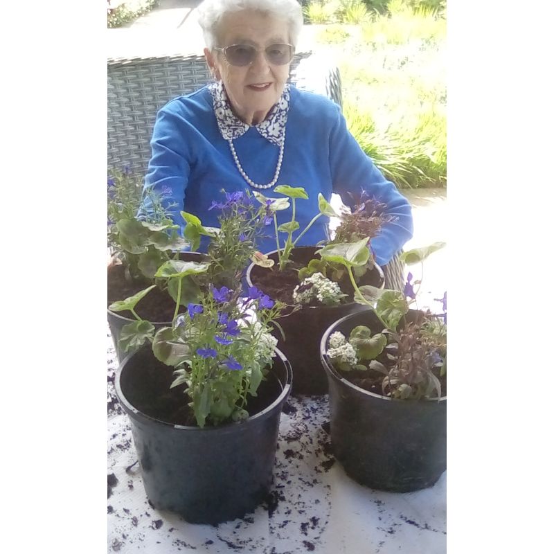 Littlebourne Care Home